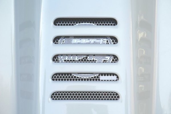 画像5: エンジンフード   ハニカムネット (5)